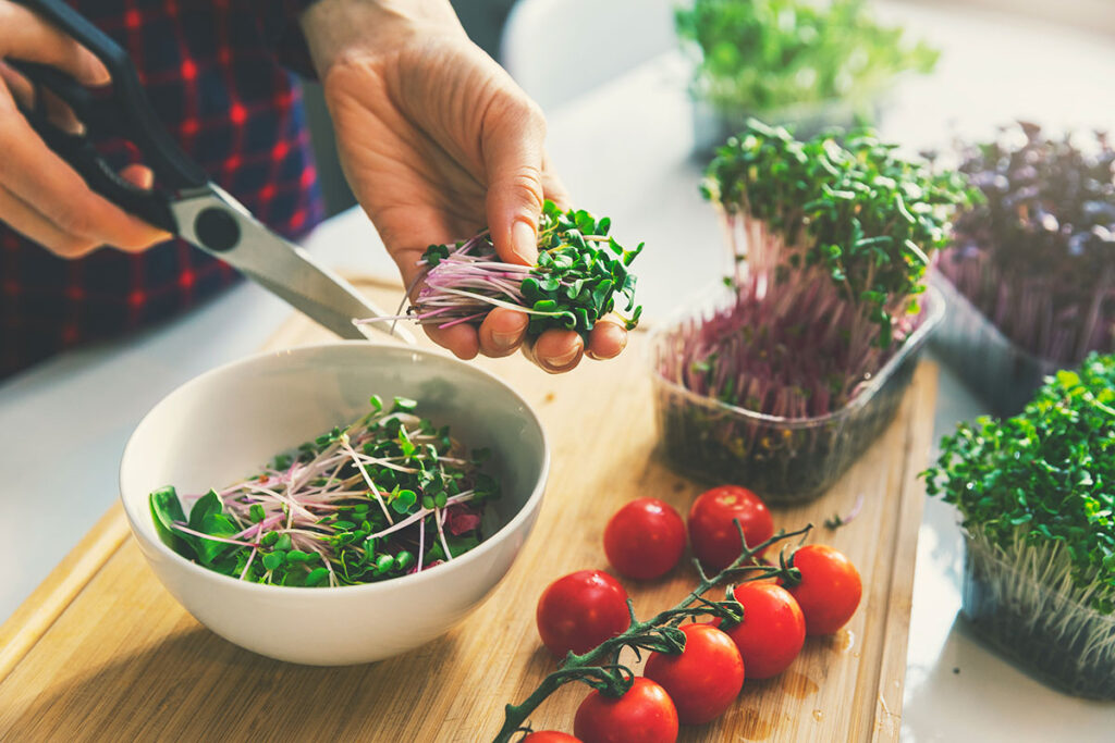 micropousses-et-legumes