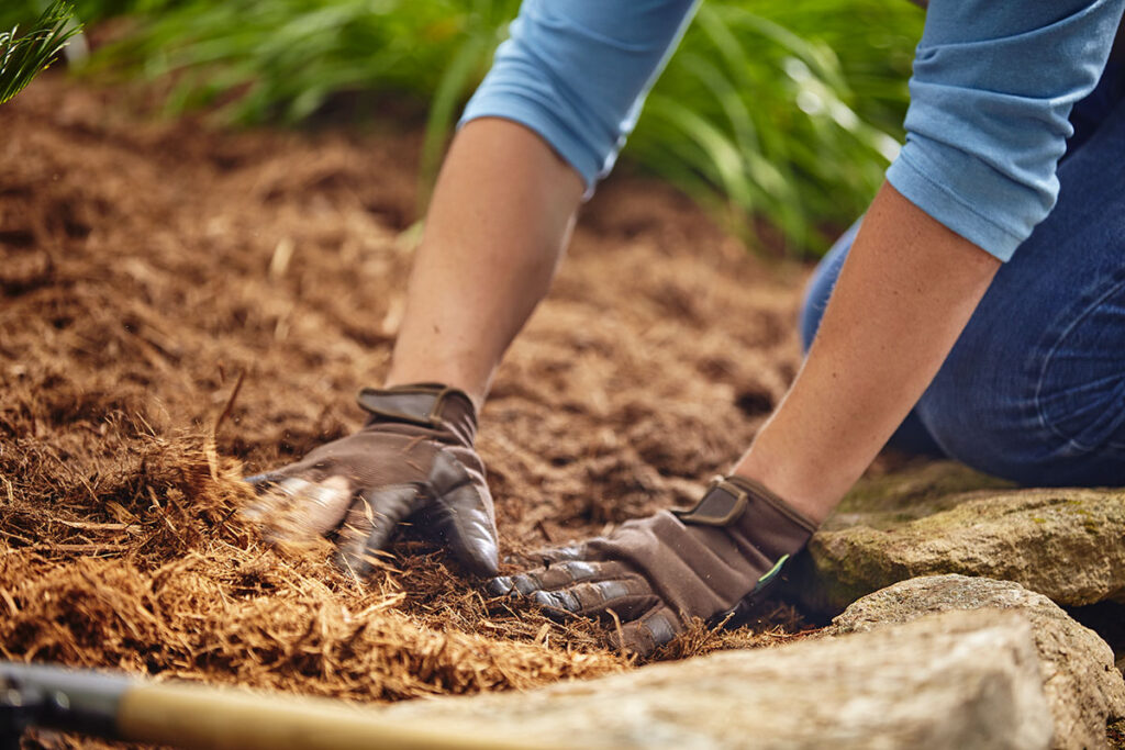 hand-in-soil